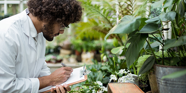 pucpr-mayaguez-biologia